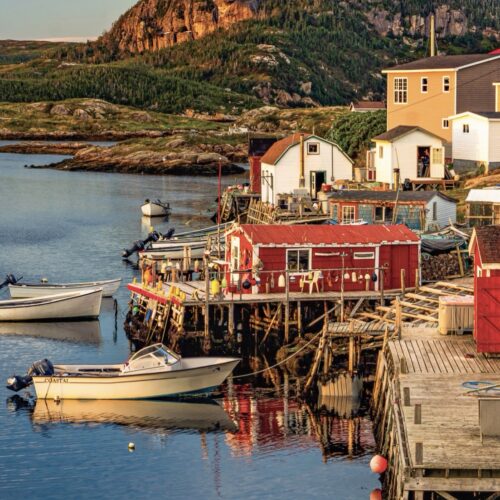 Newfoundland & Labrador Cookbook
